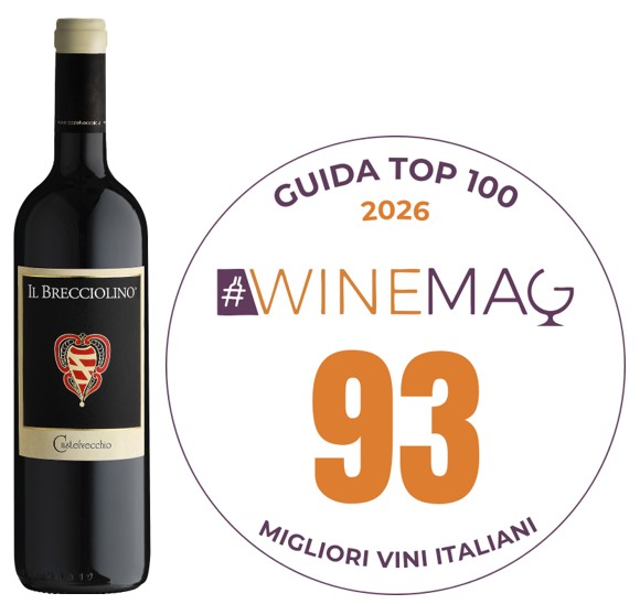 IL BRECCIOLINO 2020 – 93 pts