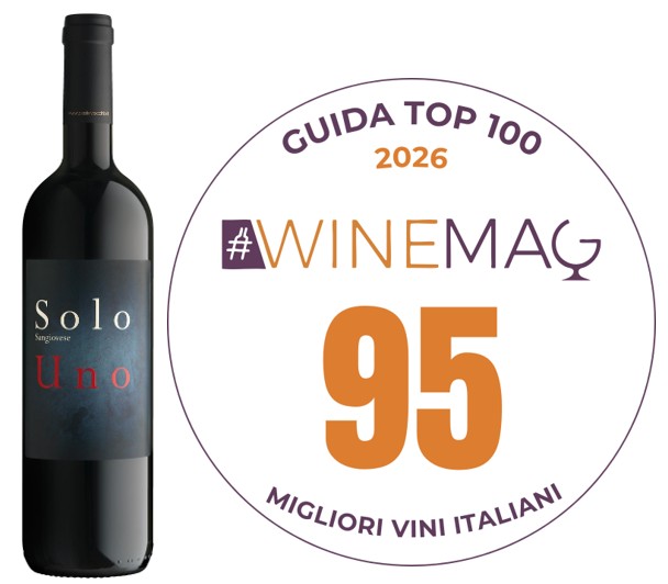 SOLOUNO 2019 – 95 pts